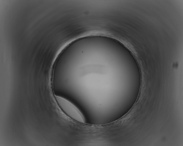 X0000090420912200707130944