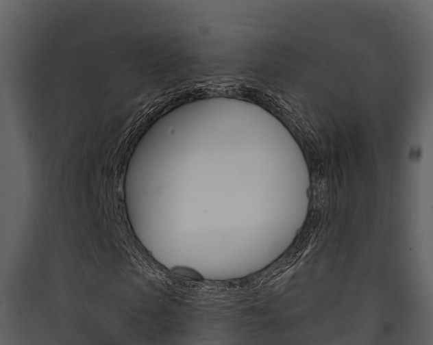 X0000090420913200707130943