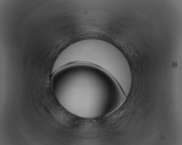 X0000090420916200707130943