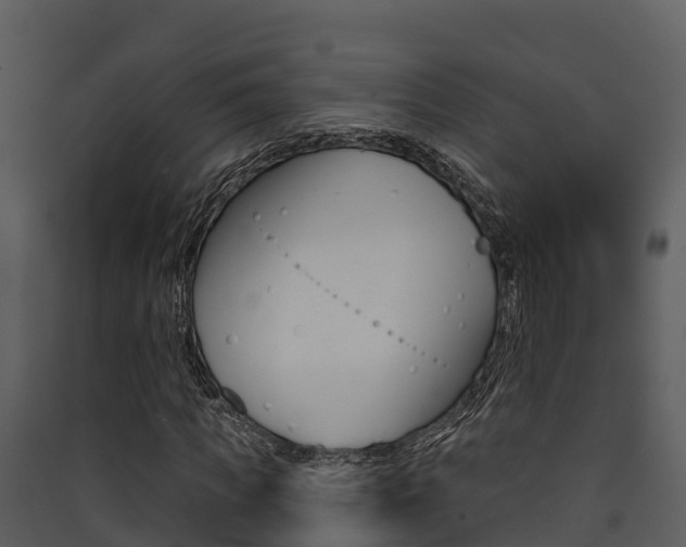 X0000090420917200707130943