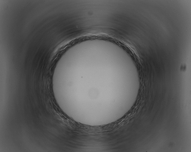 X0000090420920200707130943