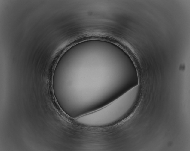 X0000090420922200707130943