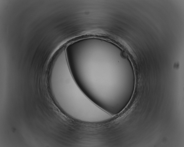 X0000090420923200707130943