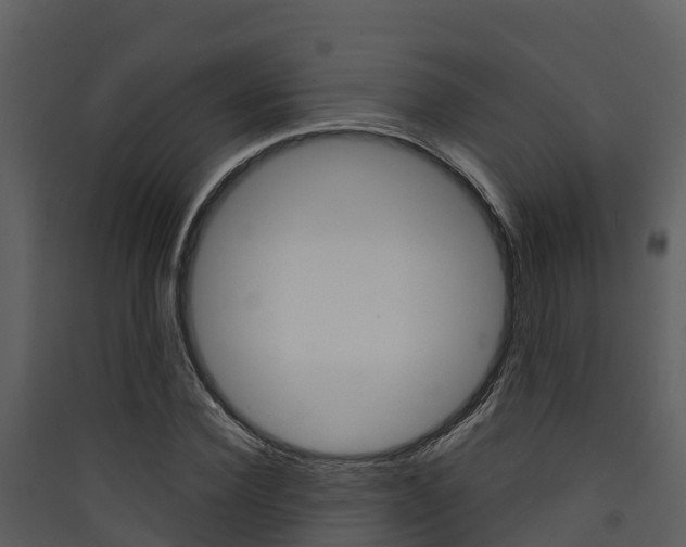 X0000090420924200707130943