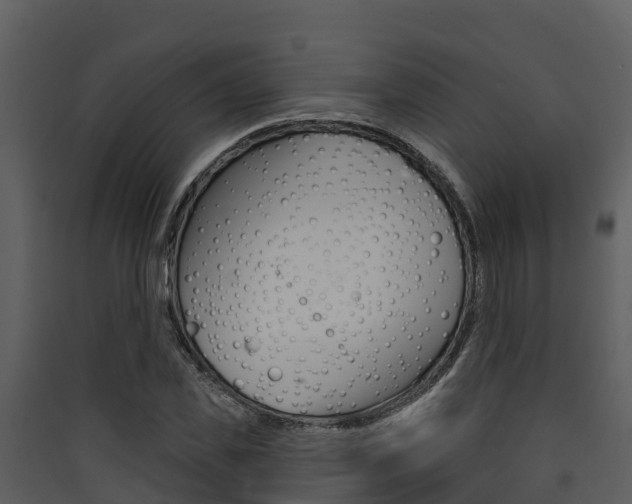 X0000090420925200707130943