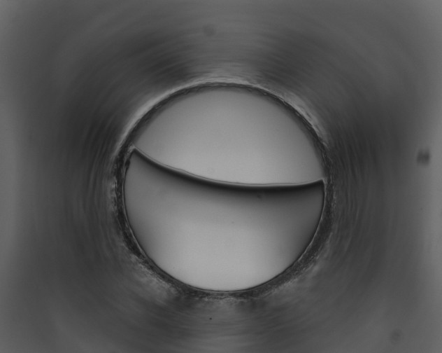 X0000090420926200707130943