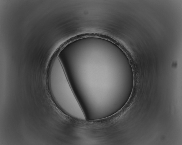 X0000090420927200707130943