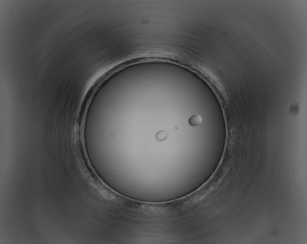 X0000090420928200707130943