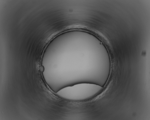 X0000090420929200707130943