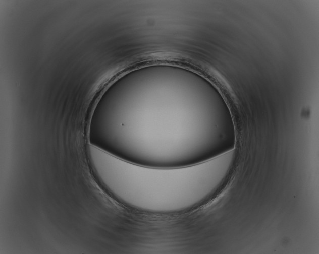 X0000090420930200707130943