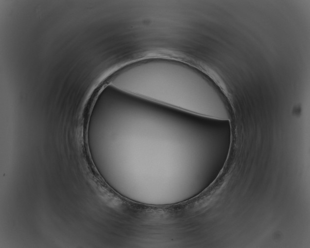 X0000090420931200707130943