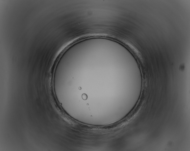 X0000090420933200707130943