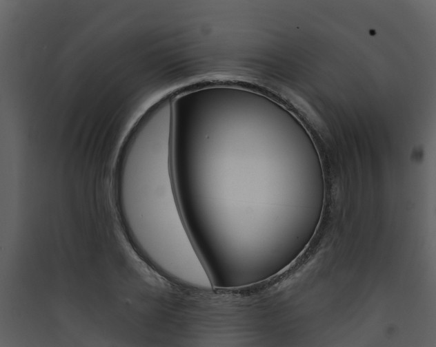 X0000090420934200707130943