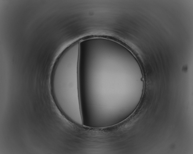 X0000090420935200707130943