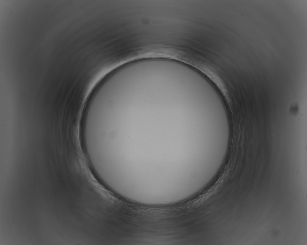 X0000090420936200707130943