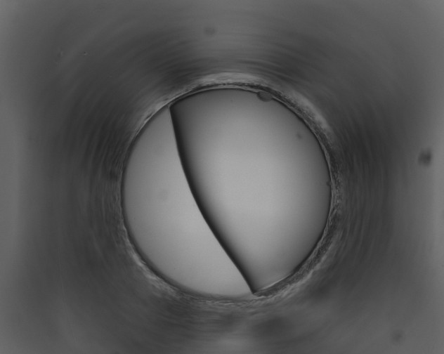 X0000090420937200707130943