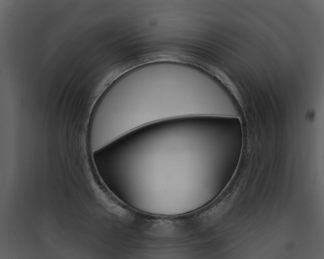X0000090420938200707130943