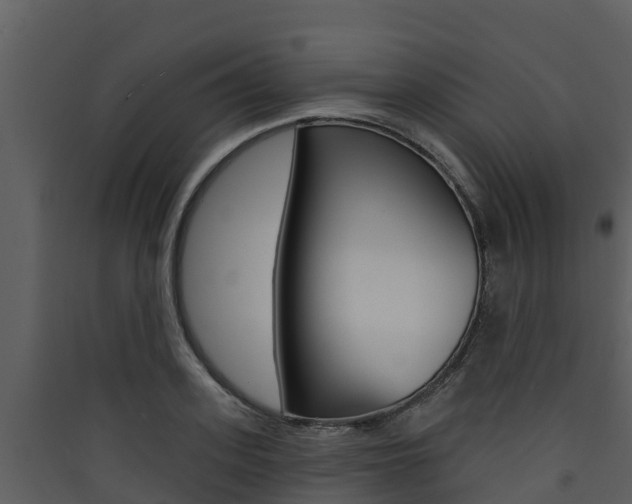 X0000090420939200707130943
