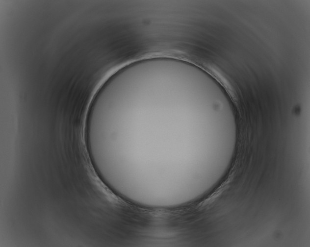 X0000090420940200707130943