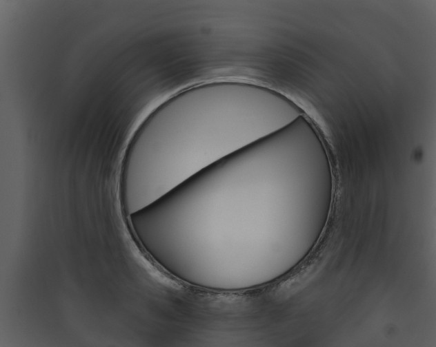 X0000090420941200707130943