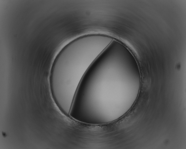 X0000090420943200707130943
