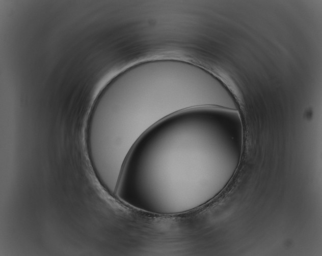 X0000090420944200707130944