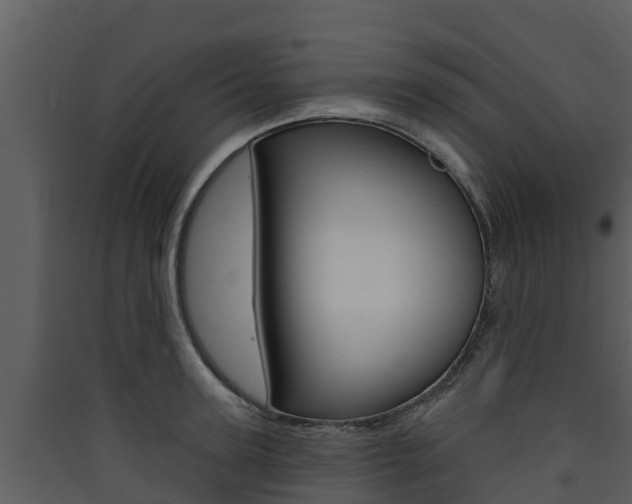 X0000090420947200707130944