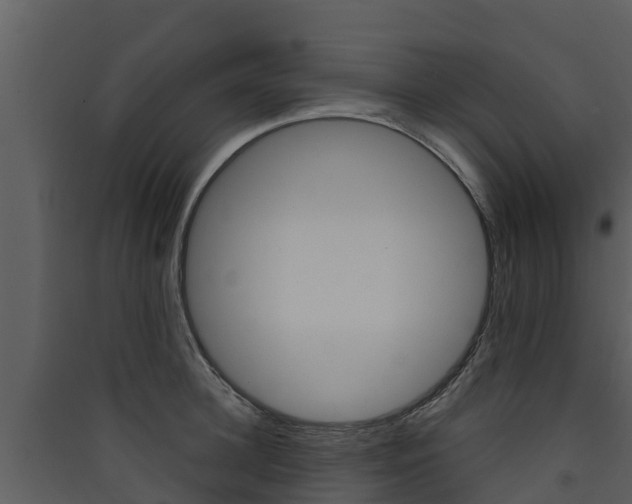 X0000090420948200707130944