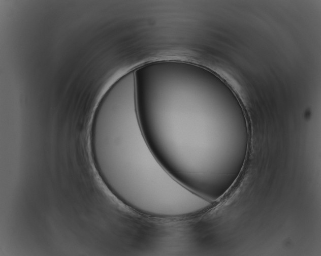 X0000090420949200707130944