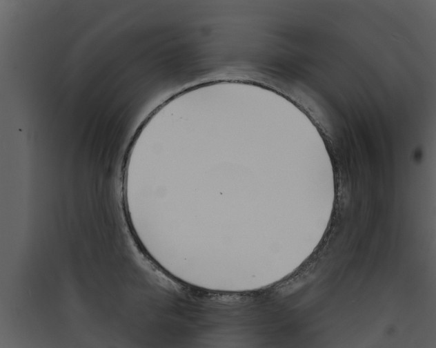 X0000090420950200707130944
