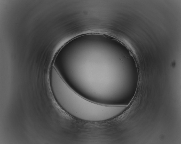 X0000090420952200707130944