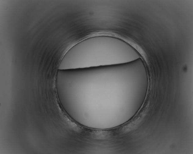 X0000090420953200707130944