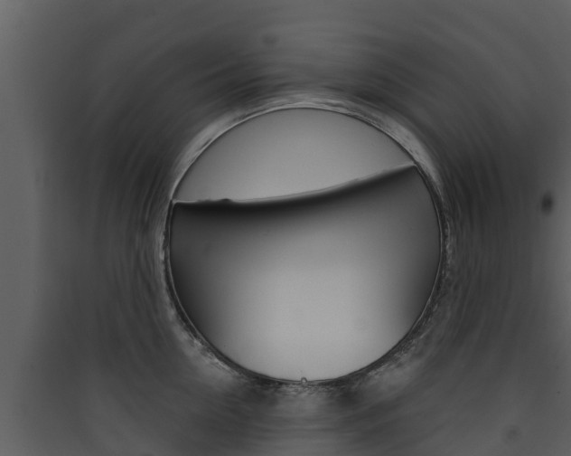 X0000090420954200707130944