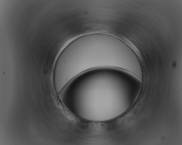 X0000090420956200707130944
