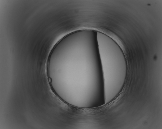 X0000090420958200707130944