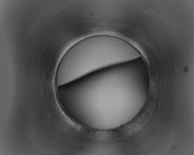 X0000090420959200707130944