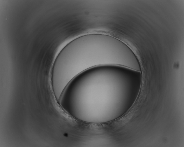 X0000090420960200707130944