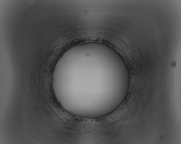 X0000090420961200707130943