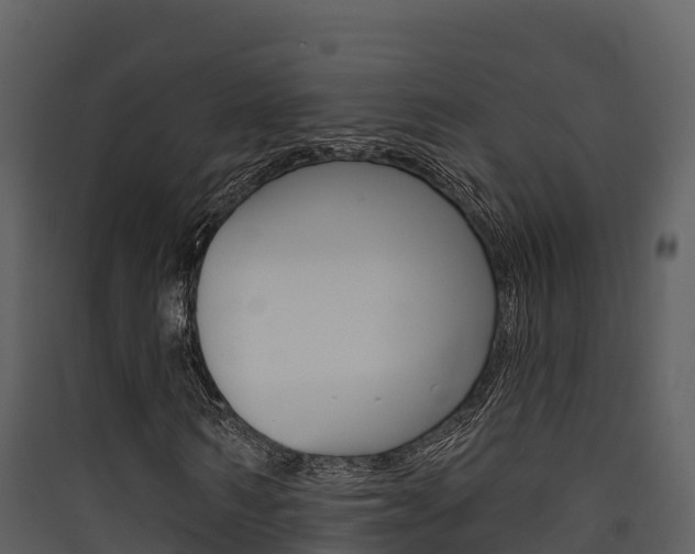 X0000090420962200707130943