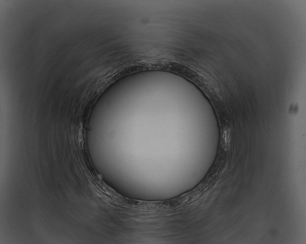 X0000090420963200707130943