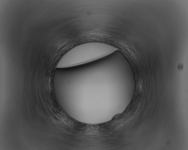 X0000090420964200707130943