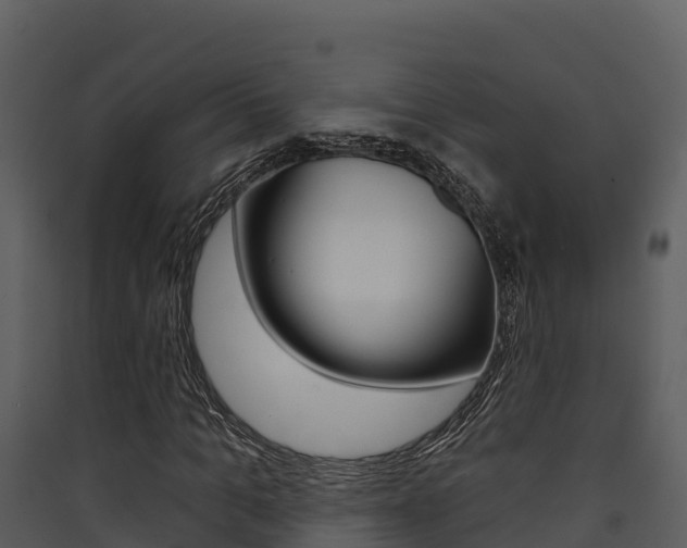 X0000090420965200707130943