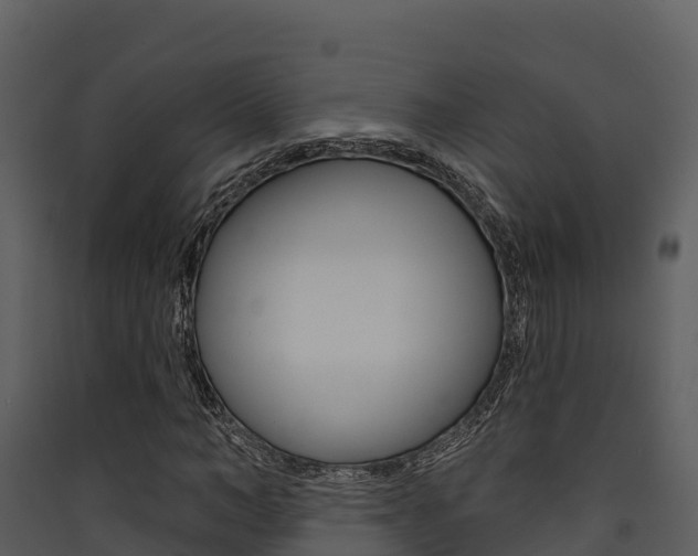 X0000090420966200707130943