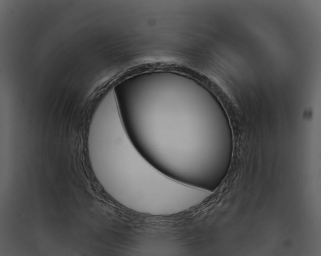 X0000090420967200707130943