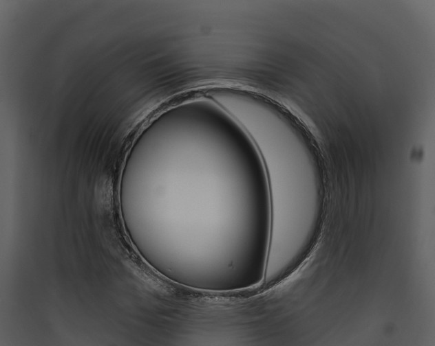 X0000090420969200707130943
