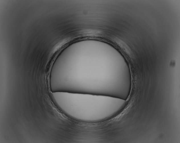 X0000090420970200707130943