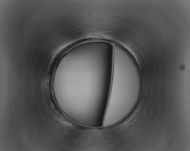 X0000090420971200707130943