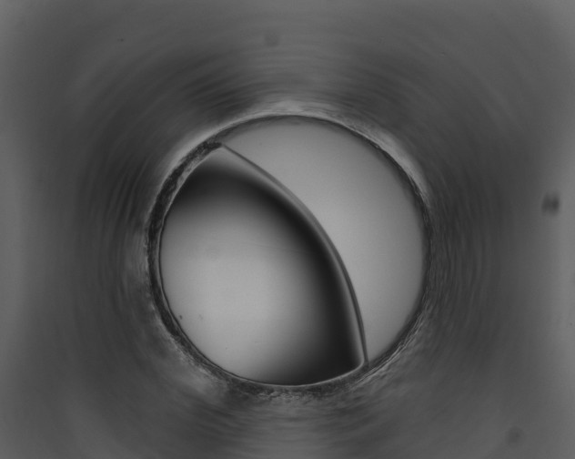 X0000090420972200707130943