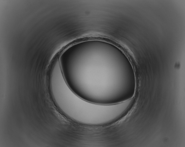 X0000090420973200707130943