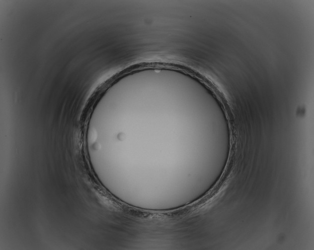 X0000090420974200707130943